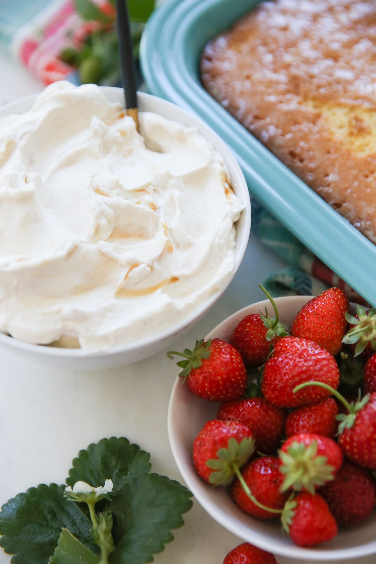 Tres Leches Cake - 51
