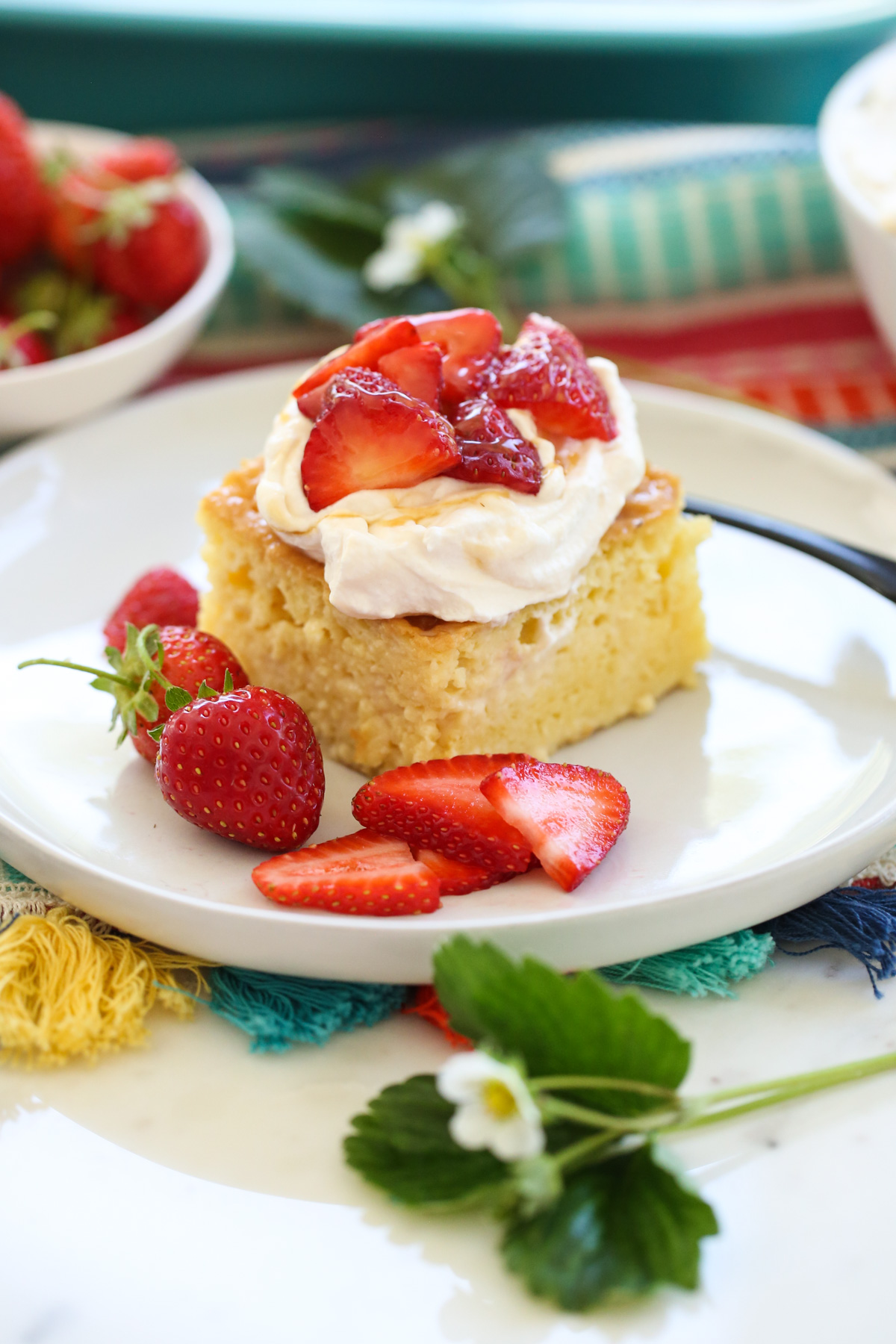 Tres Leches Cake - 43