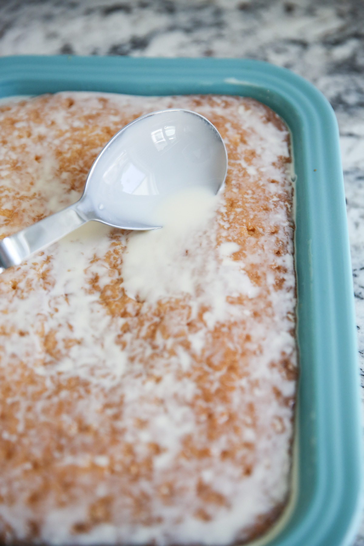 Tres Leches Cake - 36