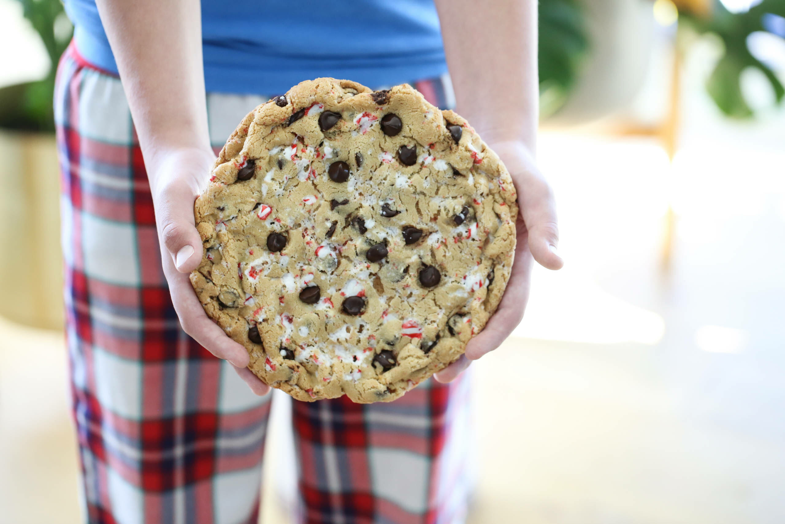 Giant Chocolate Chip Candy Cane Cookie