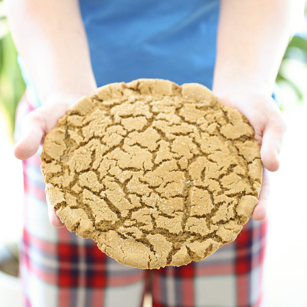 Big Giant Chocolate Chip Cookie - Our Best Bites