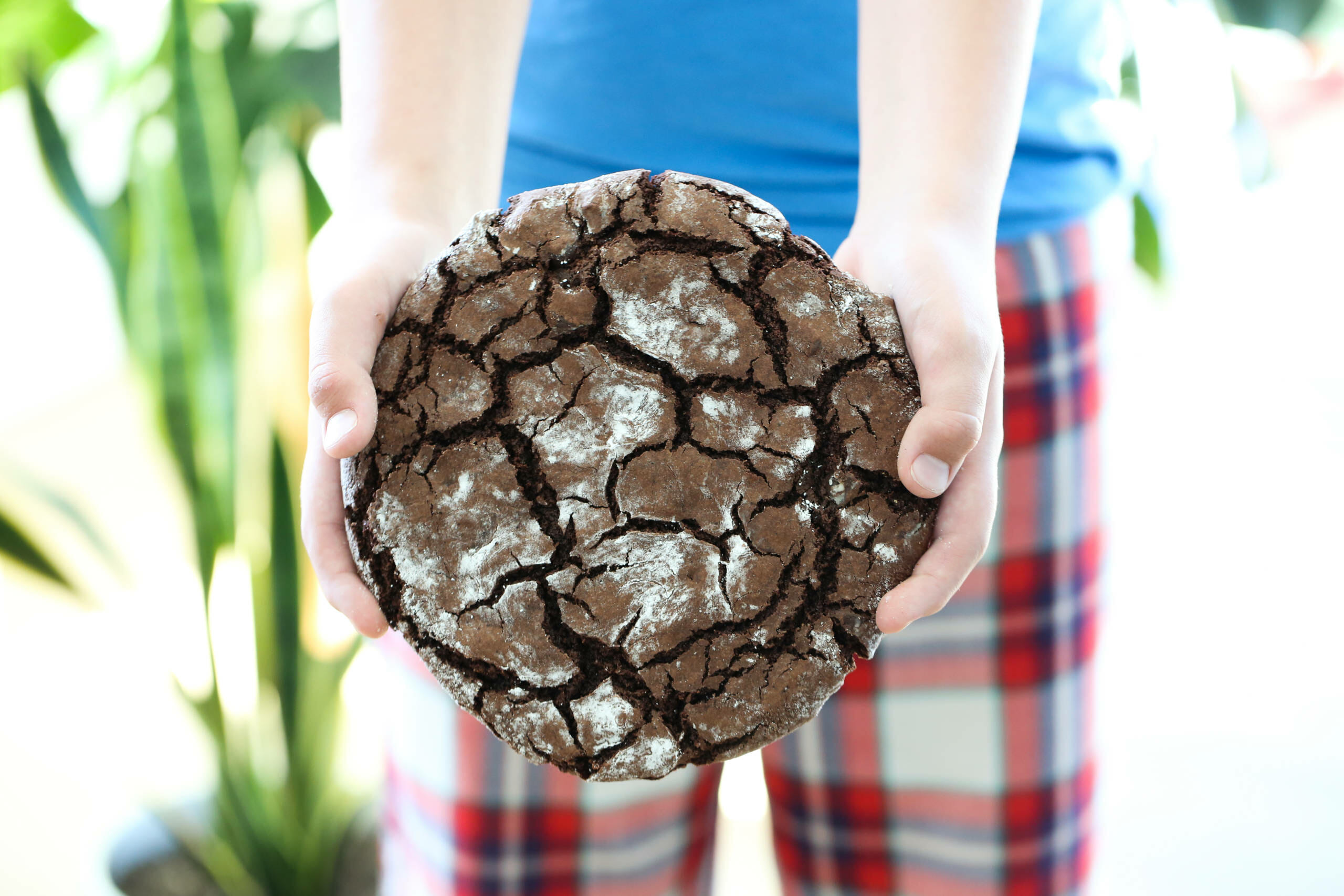 Giant Chocolate Crinkle Cookie