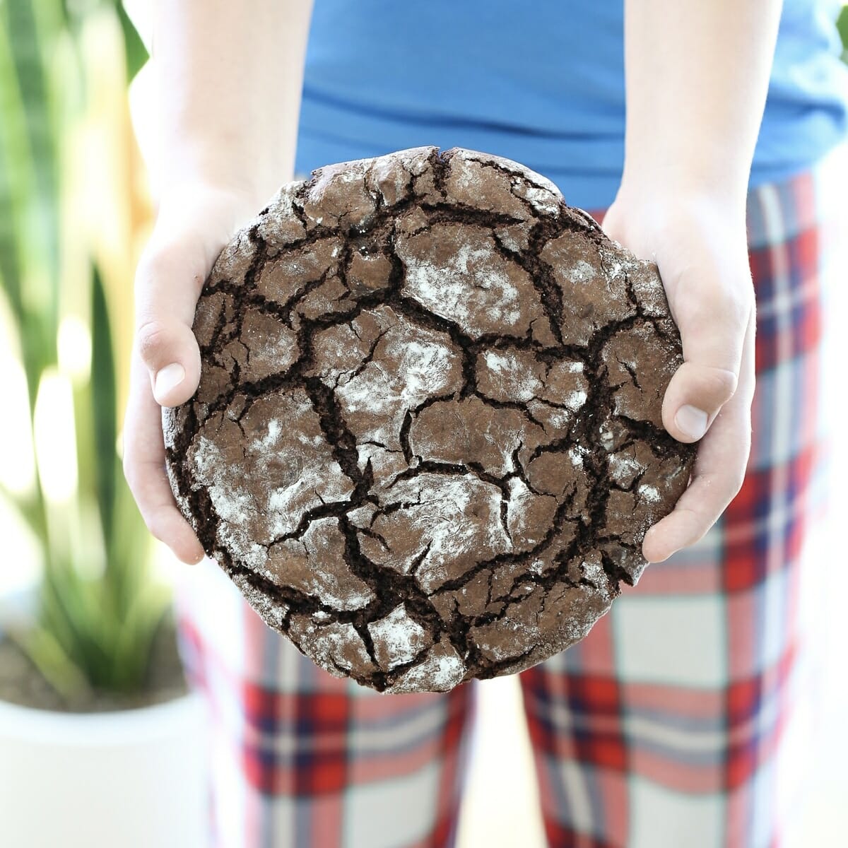 Giant Chocolate Crinkle Cookie
