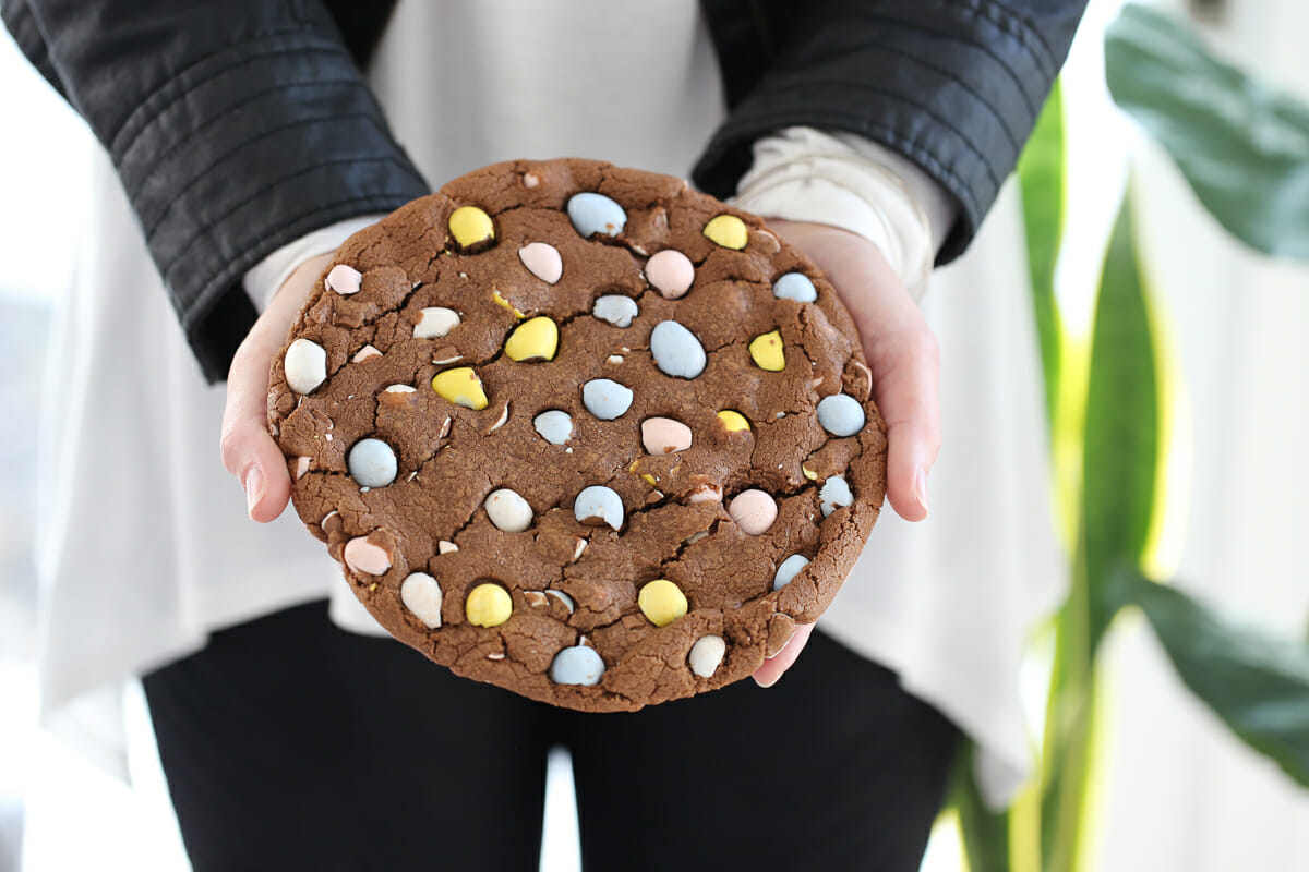 Big Giant Chocolate Chip Cookie - Our Best Bites