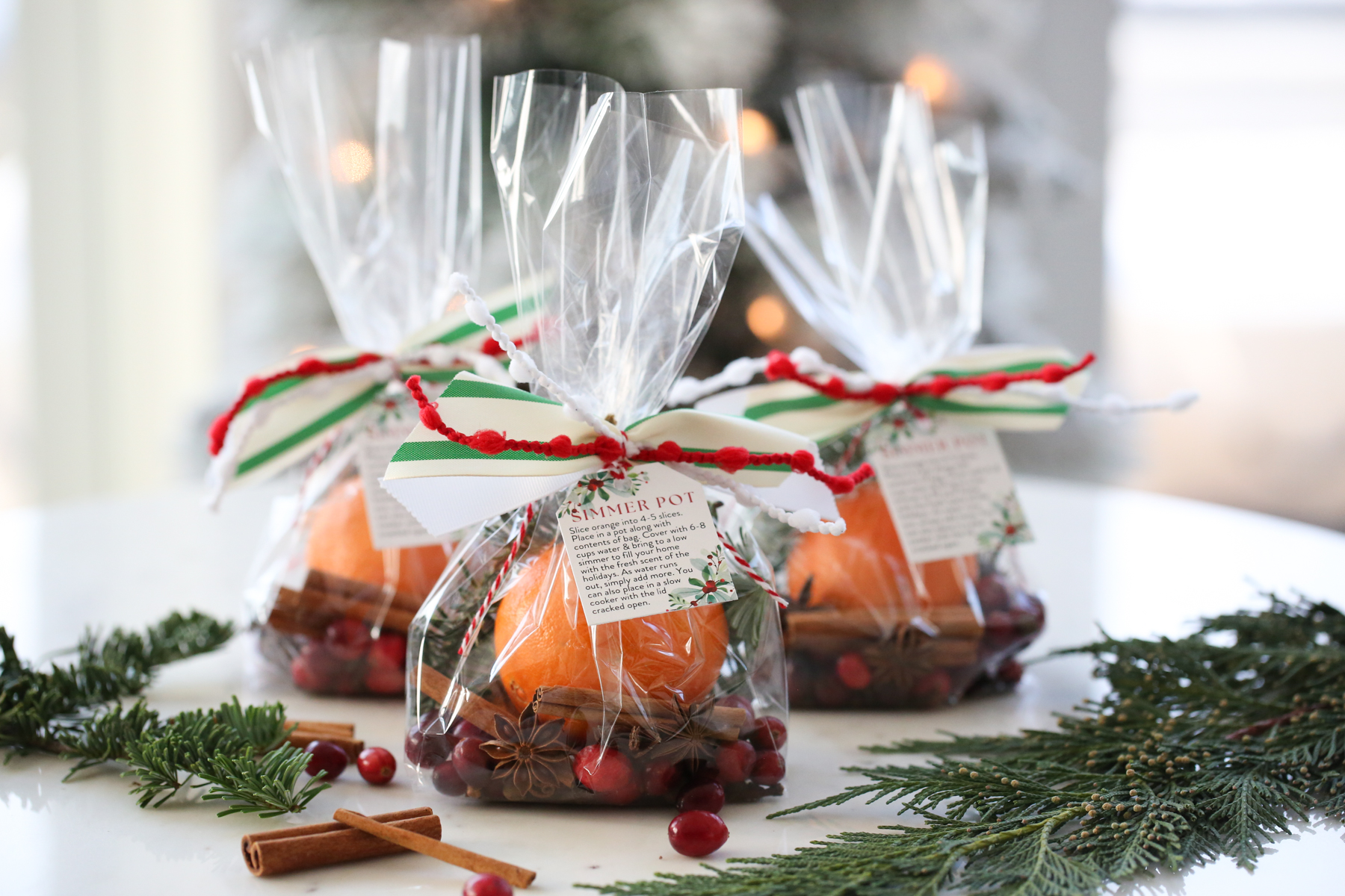 Christmas Holiday Goodie Containers, 6 Pack, Small Round