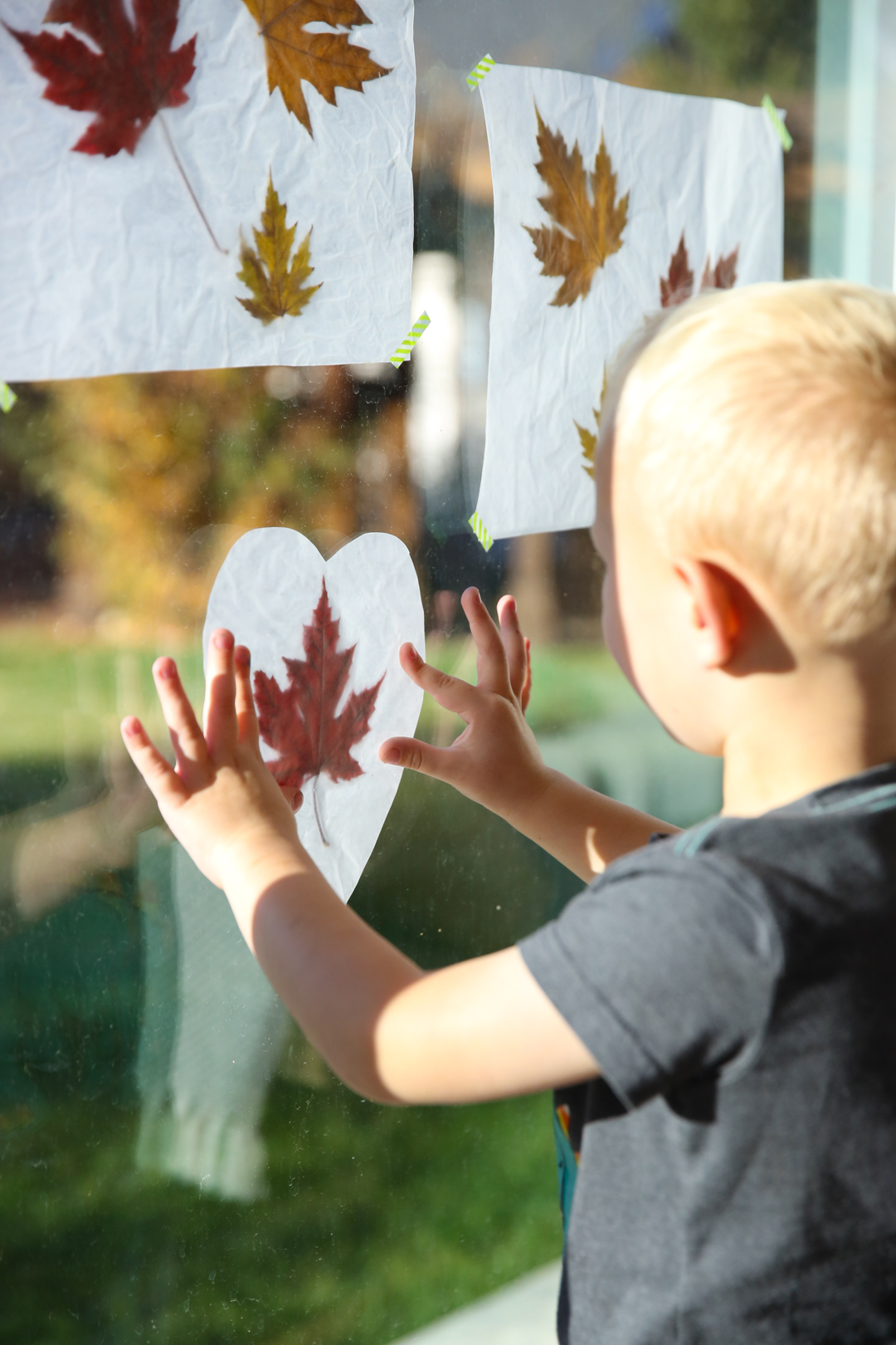 Fall leaves luminaries