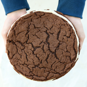 hands holding a giant chocolate cookie