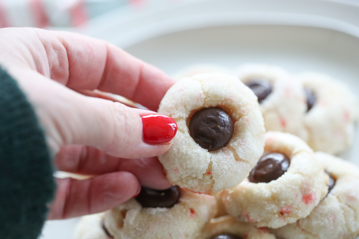 Candy Cane Cookies with Chocolate Mint