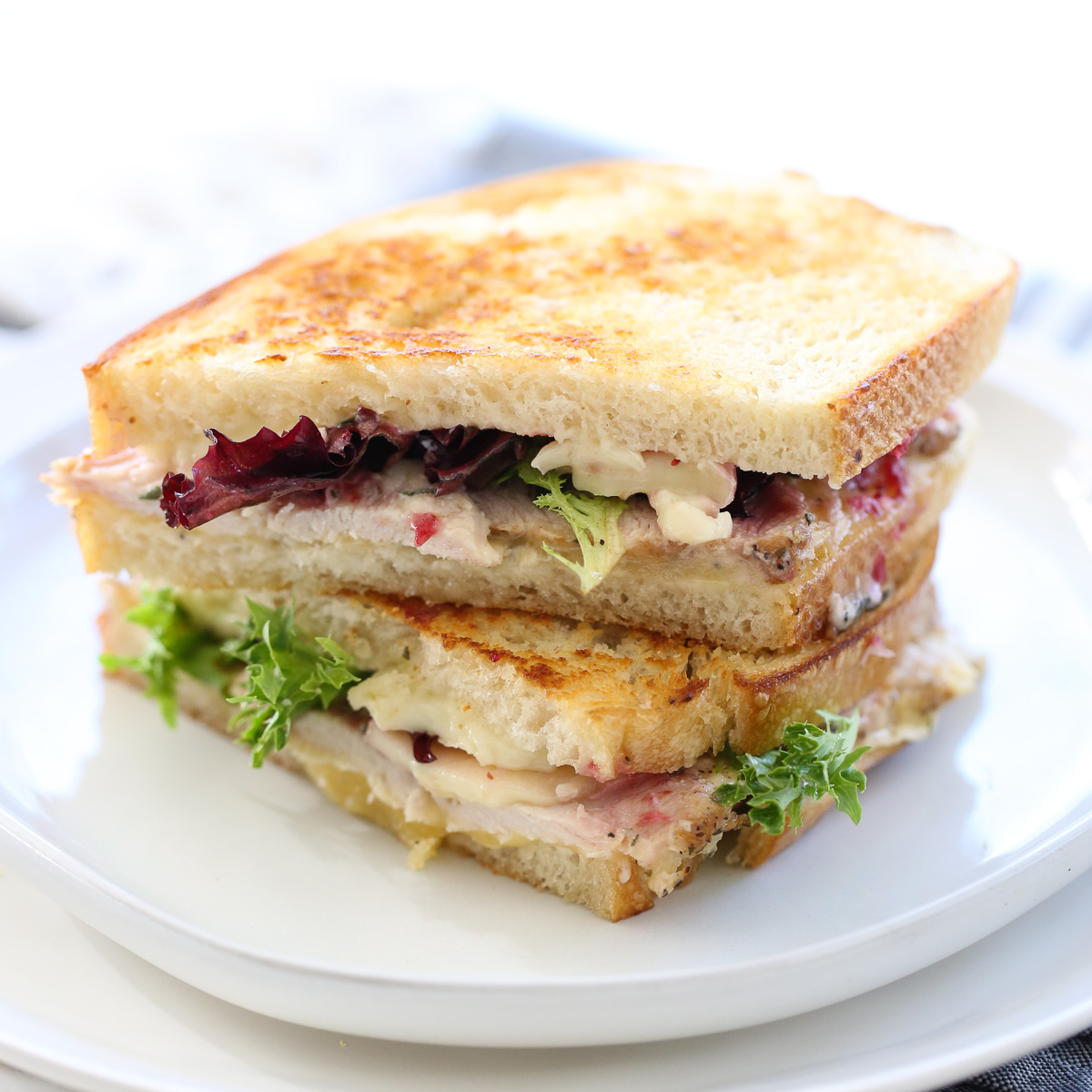 turkey and cranberry sandwich on a plate