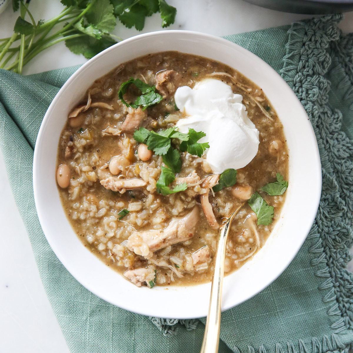 Green chili chicken stew in a white bowl